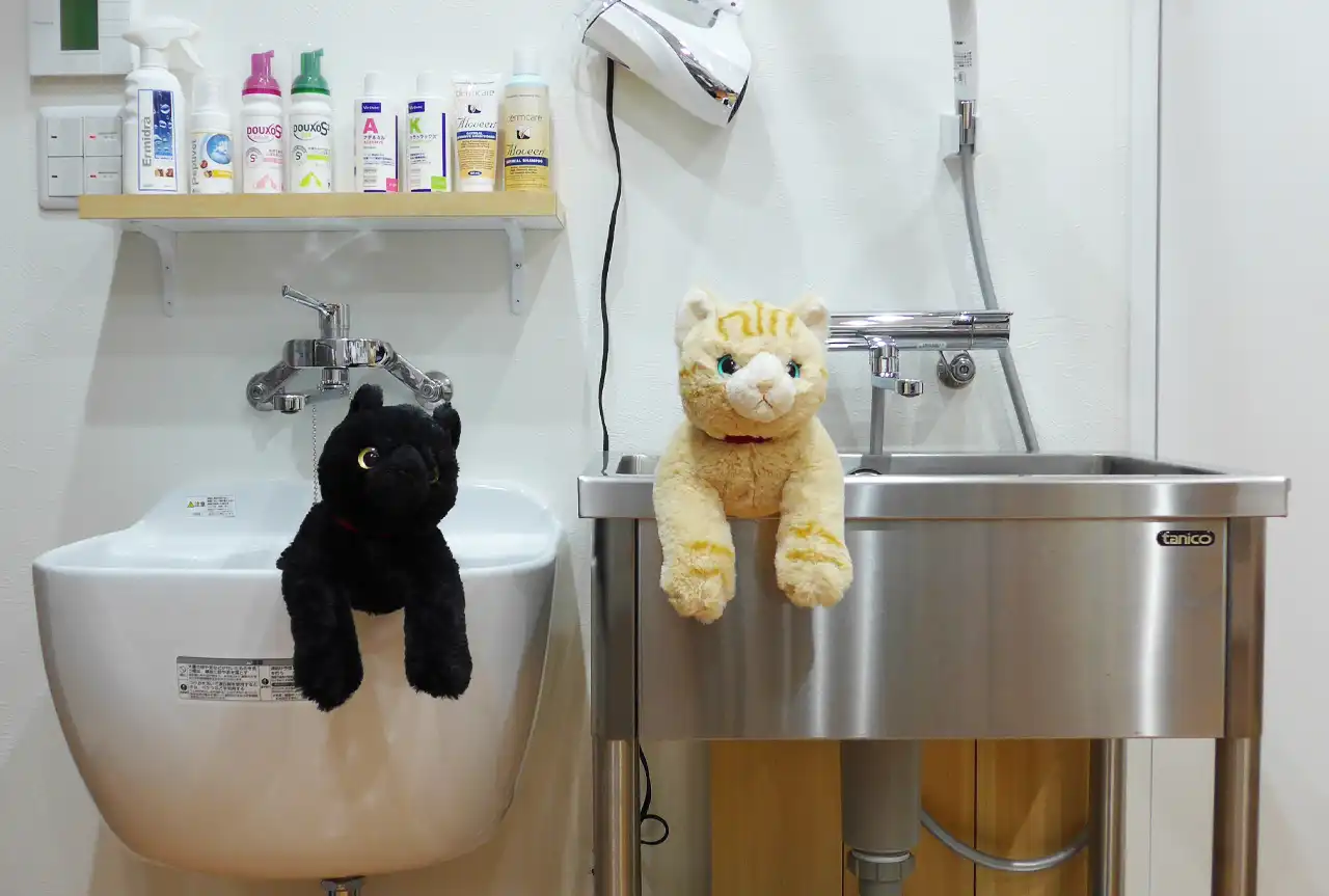 入院猫の洗体コーナーとシンク